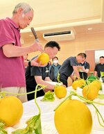 持ち込まれたメロンの出来栄えを確かめる関係者＝２９日、琴浦町赤碕のＪＡ鳥取中央赤碕支所