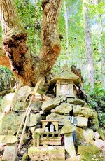 「弁慶の森」の中にある母・弁吉を祭る「弁吉女霊社」＝松江市長海町