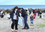 皆生海岸を清掃する大勢の参加者＝１７日、米子市新開４丁目