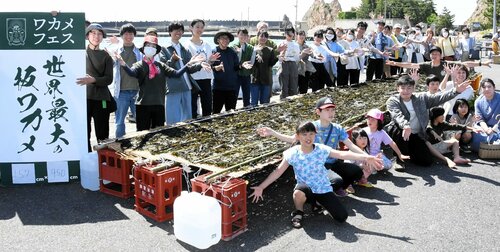 幅１．６㍍、長さ９．５㍍の「世界最大の板ワカメ」の完成を喜ぶ参加者