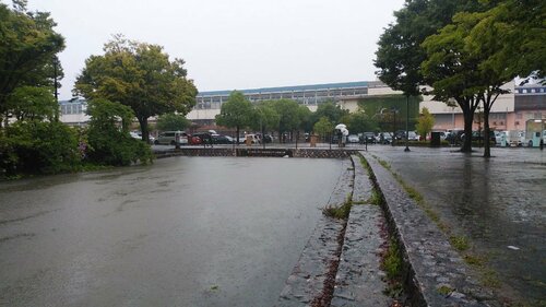 鳥取市の山白川（午前9時頃撮影）