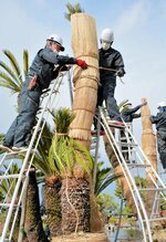 手際よくこもを巻く作業員＝２８日、米子市西町の湊山公園