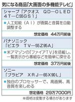 気になる商品「大画面の多機能テレビ」
