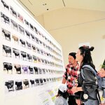 現在の但馬牛の礎を築いた歴代〝エース級〟がずらり＝２０日、新温泉町丹土の但馬牛博物館