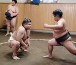 　立ち合いを確認する高安（左）＝東京都江戸川区の田子ノ浦部屋