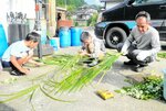 ショウブやススキなどを束ねる子どもたち