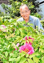 徐々に花を咲かせ始めた寒ボタン＝１５日、新温泉町和田