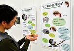 希少なニホンヤマネの生態などを詳しく解説したパネルが並ぶ会場＝若桜町〓米の氷ノ山自然ふれあい館響の森