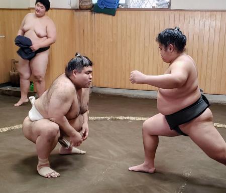 　立ち合いを確認する高安（左）＝東京都江戸川区の田子ノ浦部屋