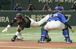 　７回巨人１死三塁、吉川の中犠飛で同点の生還を果たす三走重信。捕手木下＝東京ドーム