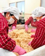蒸し上がった米にこうじ菌を混ぜて米こうじを仕込む組合員＝１１日、香美町香住区米地