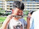 捕まえたニジマスを串焼きにして味わう参加者＝２８日、三朝町の三朝温泉