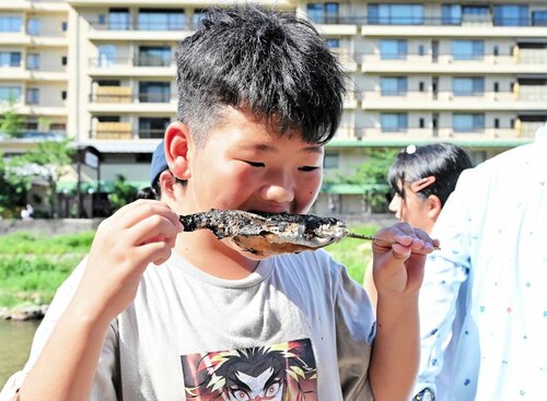 捕まえたニジマスを串焼きにして味わう参加者＝２８日、三朝町の三朝温泉