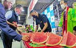 市場関係者に振る舞われた鳥取すいか＝５日、大阪市福島区の大阪市中央卸売市場本場