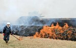 真っ黒に焼ける枯れ芝＝２４日、北栄町由良宿の由良台場跡