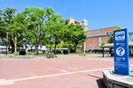ケヤキに遮られバスターミナルまでの動線が分かりづらいＪＲ鳥取駅北口＝１８日、ＪＲ鳥取駅