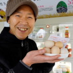 大寒に合わせて販売を開始した「大寒たまご」＝鳥取市本高の彩ファームキッチン
