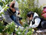 　能登半島地震後に解体された住宅跡地に花を植える地元住民ら＝２２日午後、石川県七尾市