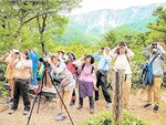 野鳥を観察する参加者（昨年の様子）