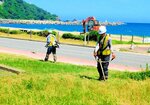 除草作業に汗を流す会員