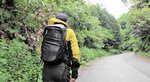 里山の農道をトレッキング。樹木や花を調べながら濃くなった緑の回廊を歩く