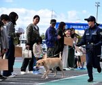 見物客が持つ紙袋の中から麻薬の臭いがするタオルを捜し当てる麻薬探知犬