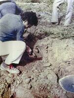 　１９７８年にタイで行われた遺骨収集事業（日本遺族会提供）