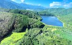 水面が緑色の水草に覆われたヨシ池（左下）と鵜の池（右奥）