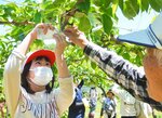 百年会のメンバーに教わりながら小袋かけに挑戦する児童＝１４日、湯梨浜町久見