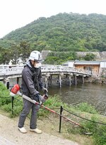 擬宝珠橋周辺の除草作業に汗を流す委託管理業者の作業員＝２１日、鳥取市東町２丁目