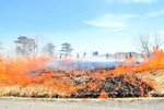 【炎に合わせて】高原を縫うように走る町道を下りながら順次点火。次々上がる炎に合わせて参加者も移動し、見守った
