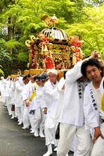 御幸祭で神社から担ぎ出された大みこし＝２０日、鳥取市国府町宮下の宇倍神社