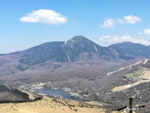 ぜひ訪れてほしい夏の信州、車山高原