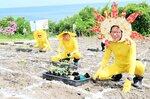 苗植え作業に汗を流す「ヒマワリの妖精」たち