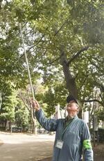 　セミの抜け殻を集める堀内伸一郎さん＝２０２５年３月、埼玉県蕨市