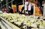 生産者から持ち込まれたラッキョウを選果するスタッフ＝１８日、北栄町田井のらっきょう共同乾燥施設