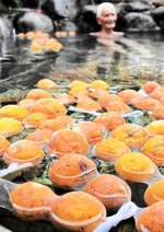 露天風呂に浮かべられたユズ＝２２日、新温泉町湯のリフレッシュパークゆむら