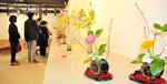 春らしい花が多彩な表現で展示されている会場＝５日、新温泉町の浜坂先人記念館・以命亭