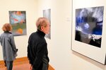 自然を個性豊かに表現した作品が並ぶ展示会場