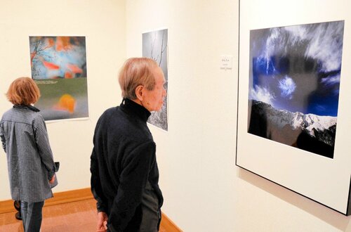 自然を個性豊かに表現した作品が並ぶ展示会場
