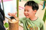 展示されたカブトムシの感触を楽しむ園児＝１９日、湯梨浜町の中国庭園燕趙園