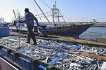 　千葉県銚子市の銚子漁港のサバの水揚げの様子＝２０２０年２月（同市提供）