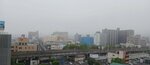 濃霧でかすむ鳥取市街地＝２２日午前