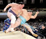 大相撲初場所千秋楽の優勝決定戦で、関脇琴ノ若（右）を寄り切りで破って優勝した横綱照ノ富士＝２８日、東京都墨田区の両国国技館