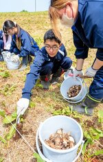 手分けしてヒガンバナの球根を植栽する生徒ら