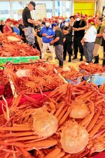 初水揚げされ「かにかご上屋」で競りにかけられるベニズワイガニ＝６日、鳥取県境港市昭和町