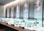 飼育員の思いをつづったコミュニケーションボードには展示生物のイラストも掲載