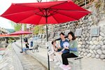 パラソルの下に置かれたベンチで一休みする観光客＝２１日、新温泉町湯の湯村温泉街
