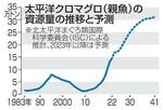 　太平洋クロマグロ（親魚）の資源量の推移と予測