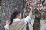 　公園で桜の花に手を伸ばす岩山香奈さん（仮名）＝２０２３年４月、兵庫県明石市